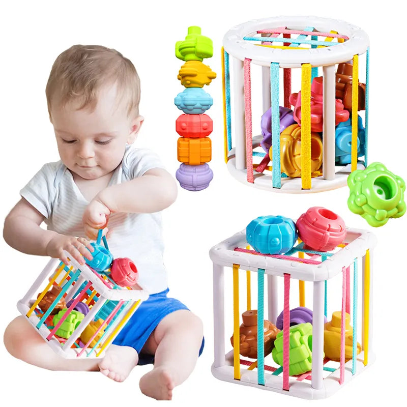 Montessori Toy 0 -12 Months