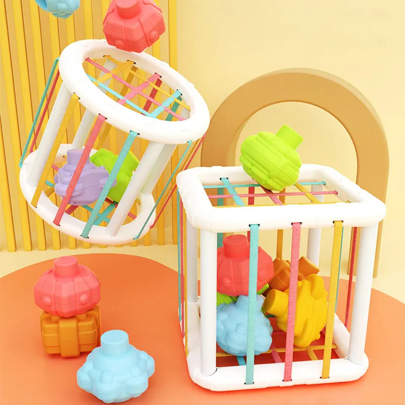 Montessori Toy 0 -12 Months